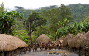 Village of the Dani tribe