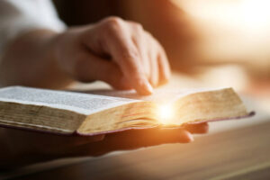 Woman reading the Holy Bible alone