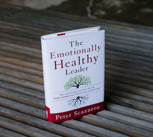the emotionally healthy leader book
